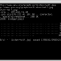 wget1.png