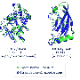 alphafold_casp14_predictions.gif